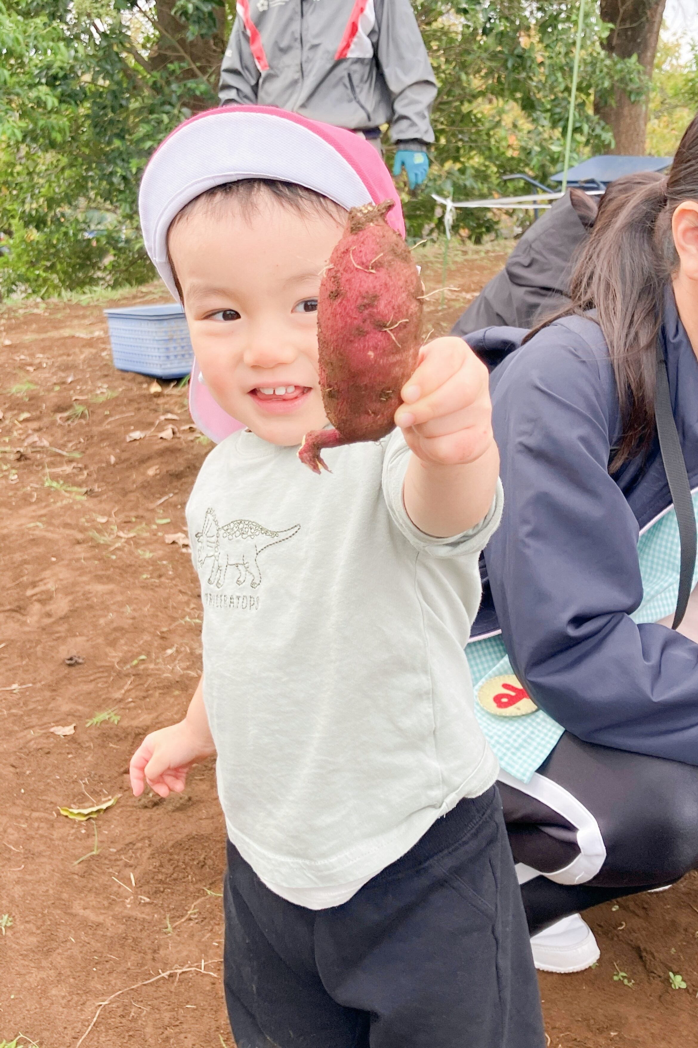 見てみて。こんなに大きなお芋見つけたよ