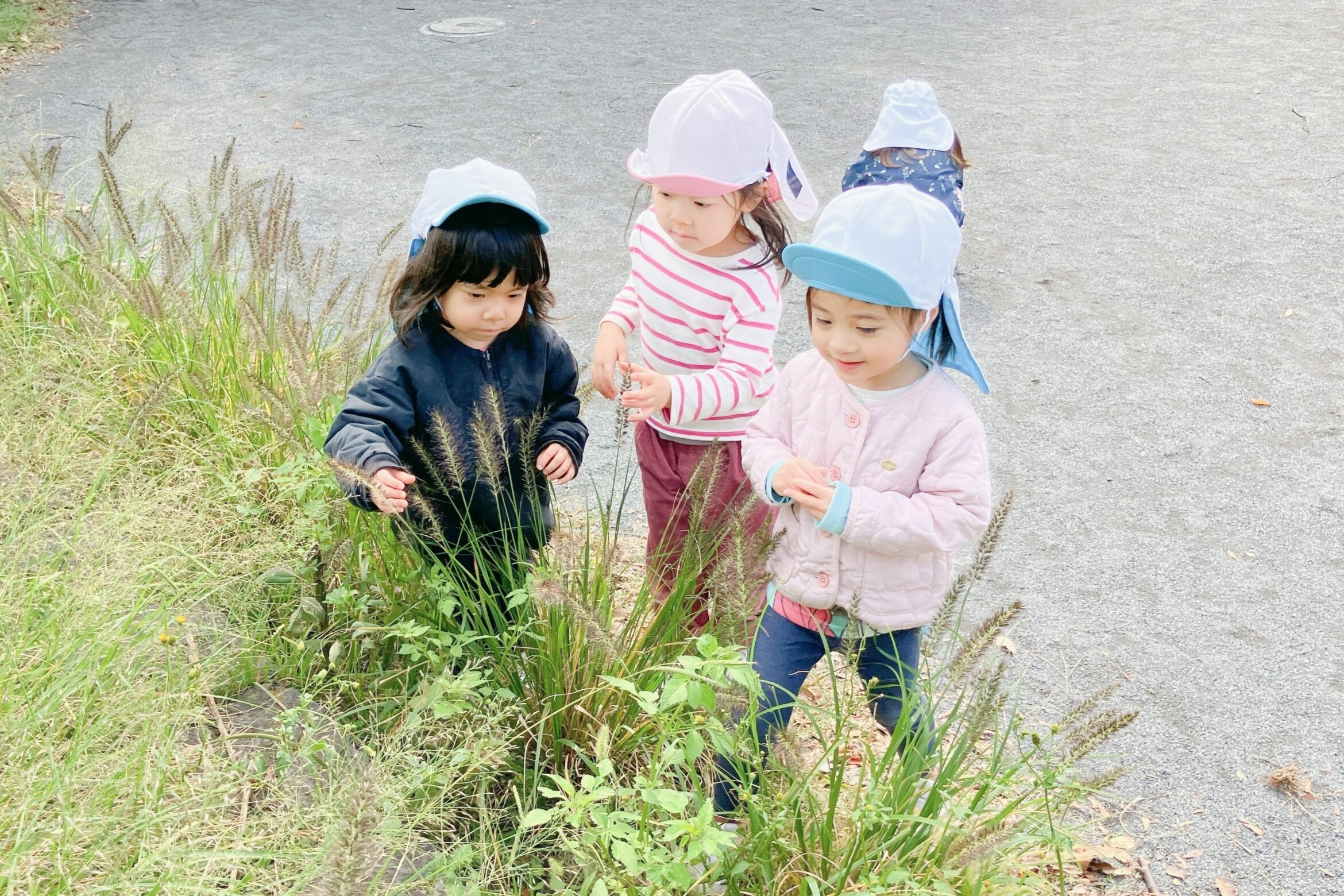秋探しとハロウィン